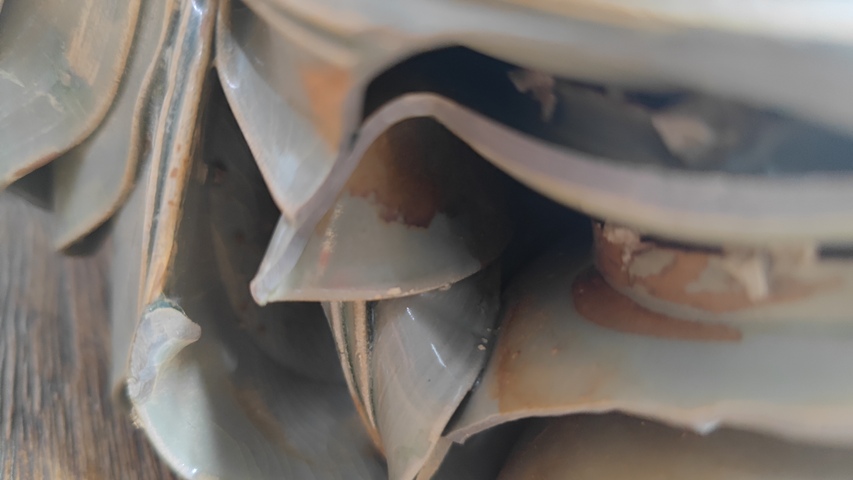 古玩陶瓷宋代青瓷窯址碗真品鑒賞圖
