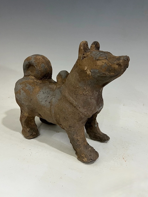 古玩雜項陶狗真品鑒賞圖