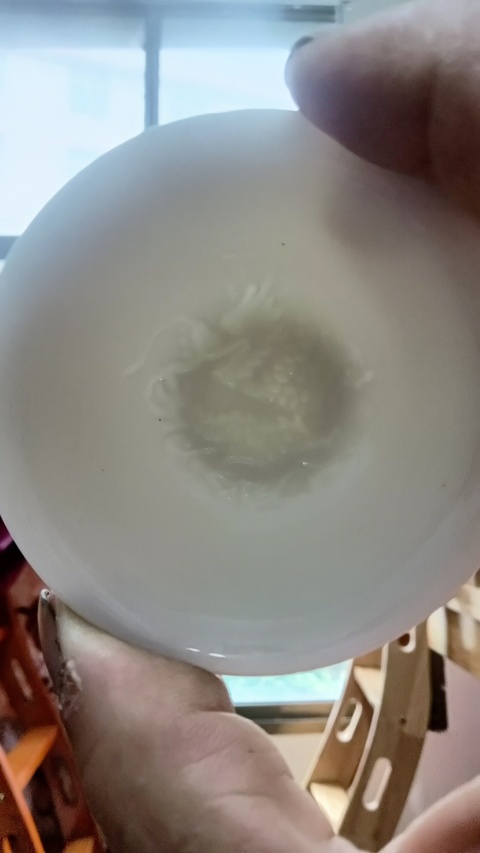 古玩陶瓷德化窯杯真品鑒賞圖
