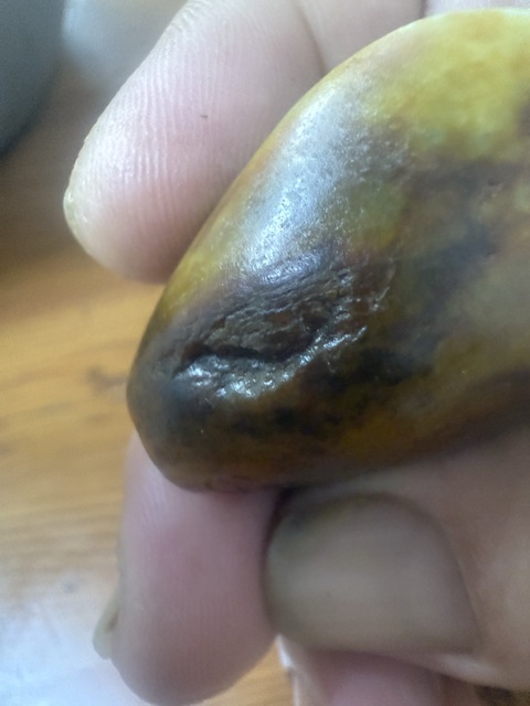 古玩玉器青白玉瑞獸真品鑒賞圖