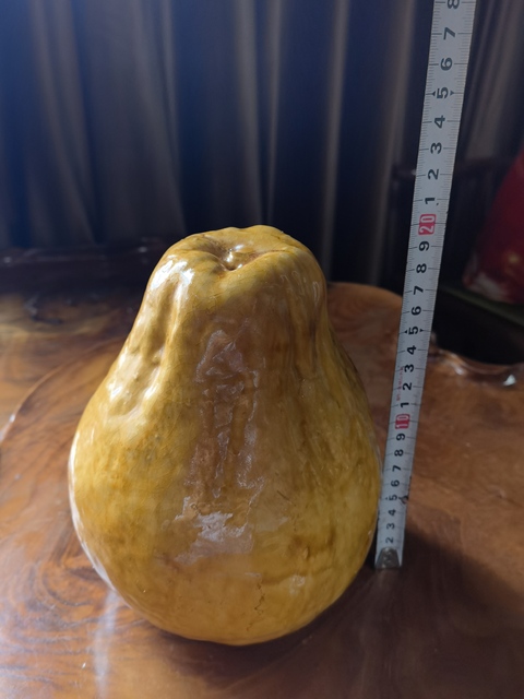 古玩陶瓷黃釉像生瓷真品鑒賞圖