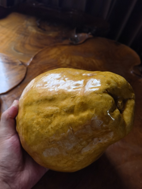 古玩陶瓷黃釉像生瓷真品鑒賞圖