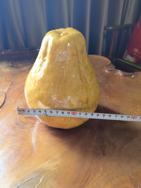 古玩陶瓷黃釉像生瓷真品鑒賞圖