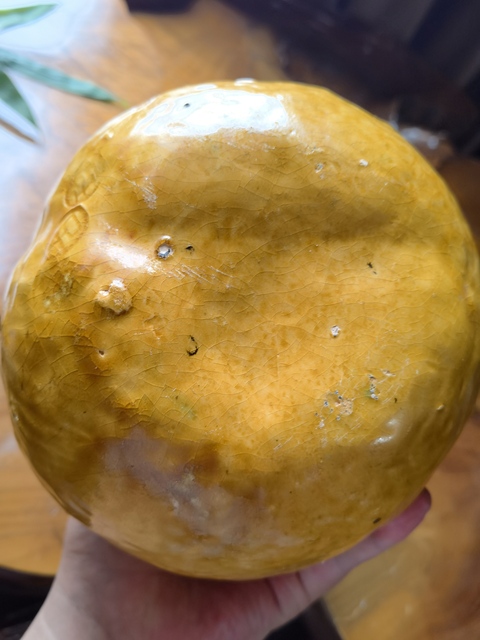 古玩陶瓷黃釉像生瓷真品鑒賞圖