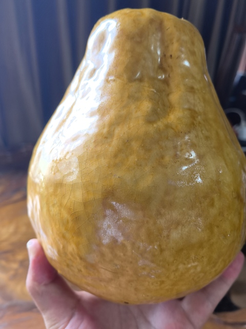 古玩陶瓷黃釉像生瓷真品鑒賞圖