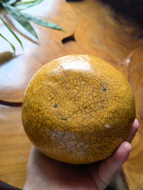 古玩陶瓷黃釉像生瓷真品鑒賞圖