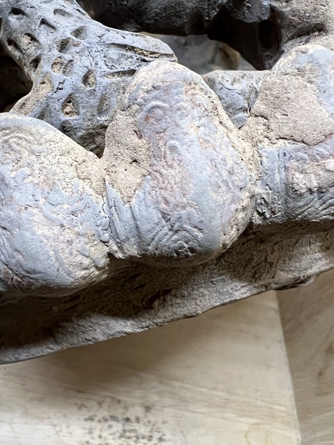 古玩陶瓷五代·三龍堆塑陶燈拍賣(mài),當(dāng)前價(jià)格65000元
