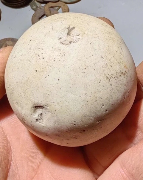 古玩陶瓷宋代捶丸真品鑒賞圖
