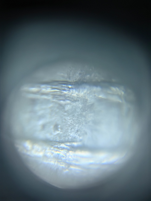 古玩玉器S龍真品鑒賞圖