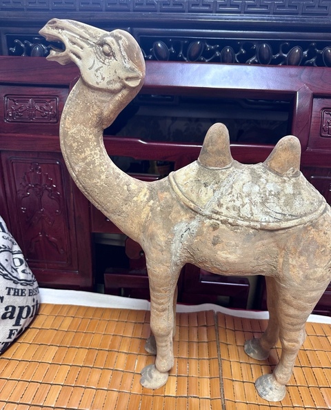 古玩陶瓷疑似拼接件唐代駱駝真品鑒賞圖