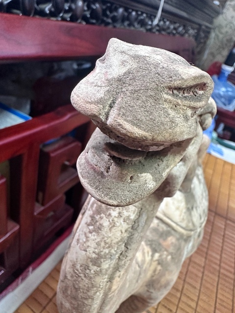 古玩陶瓷疑似拼接件唐代駱駝真品鑒賞圖