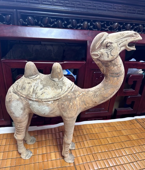 古玩陶瓷疑似拼接件唐代駱駝真品鑒賞圖