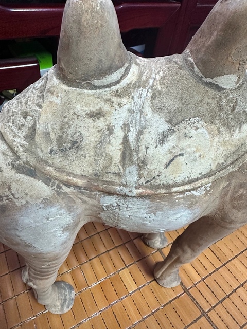 古玩陶瓷疑似拼接件唐代駱駝真品鑒賞圖