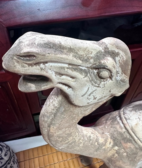 古玩陶瓷疑似拼接件唐代駱駝真品鑒賞圖