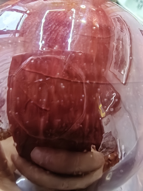 古玩陶瓷晚清郎紅釉瓶真品鑒賞圖