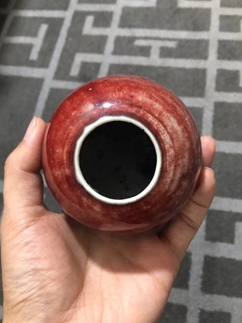 古玩陶瓷郎紅釉水盂真品鑒賞圖