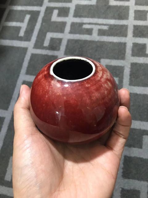 古玩陶瓷郎紅釉水盂真品鑒賞圖