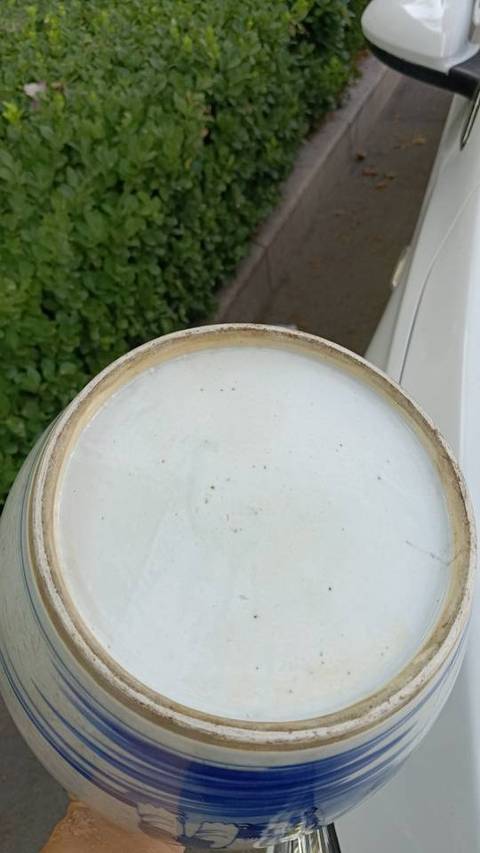 古玩陶瓷麒麟送子青花罐真品鑒賞圖