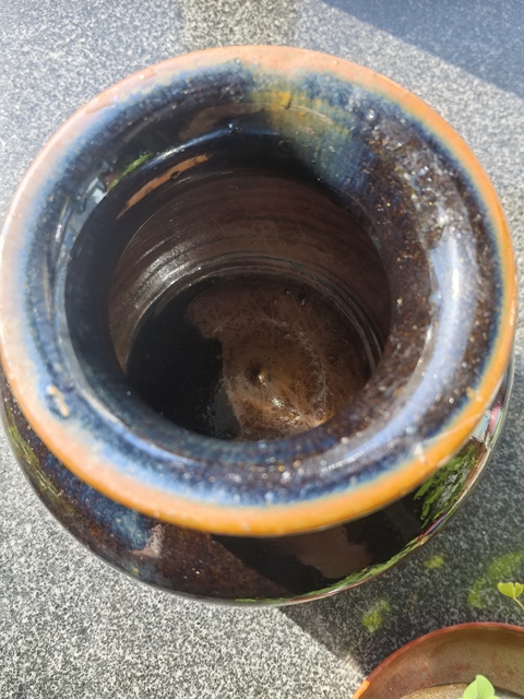 古玩陶瓷明清北方窯口黑釉窯變罐真品鑒賞圖