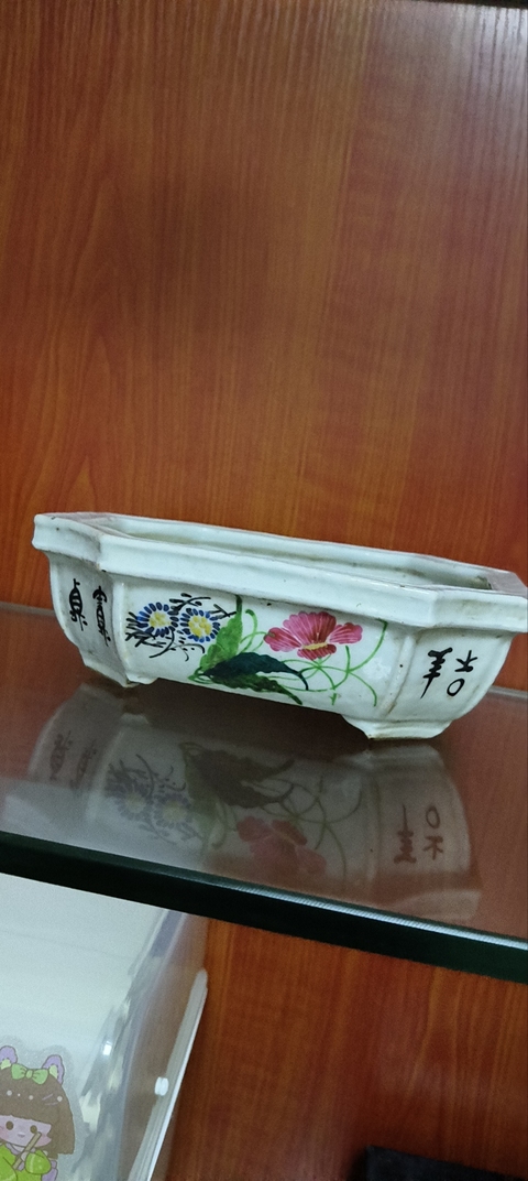 古玩陶瓷豆青盤真品鑒賞圖
