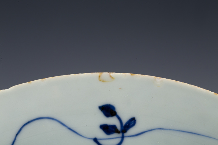 古玩陶瓷清康熙·青花洞石花卉紋折沿盤
真品鑒賞圖