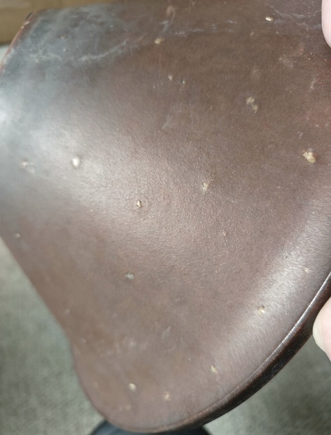 古玩雜項紫砂花盆真品鑒賞圖