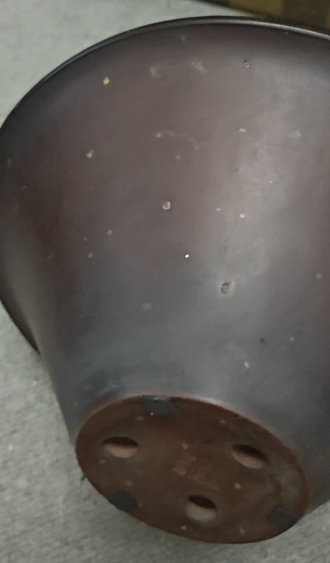古玩雜項紫砂花盆真品鑒賞圖