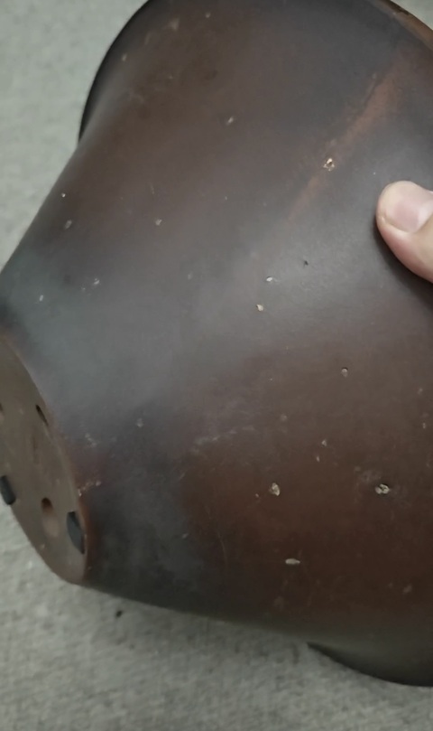 古玩雜項紫砂花盆真品鑒賞圖