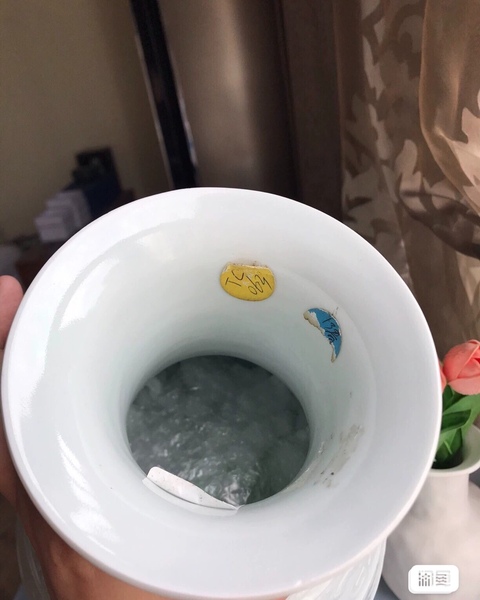 古玩陶瓷白釉鳳紋雙耳尊真品鑒賞圖