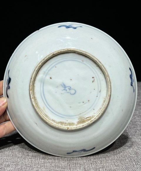 古玩陶瓷兔款花卉紋青花盤真品鑒賞圖