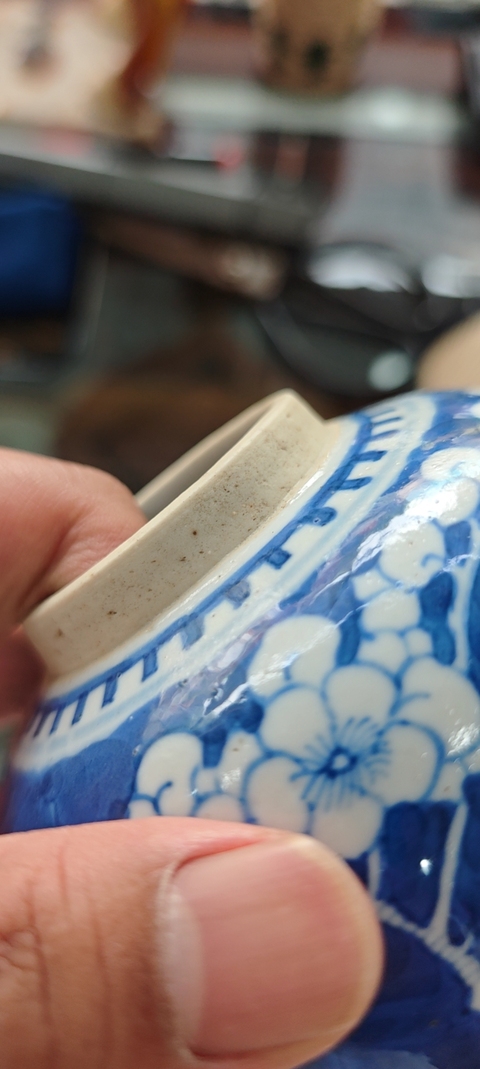 古玩陶瓷晚清青花冰梅罐真品鑒賞圖