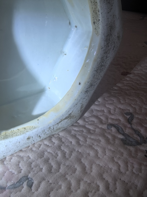 古玩陶瓷無雙譜青花瓶拍賣,當前價格68000元