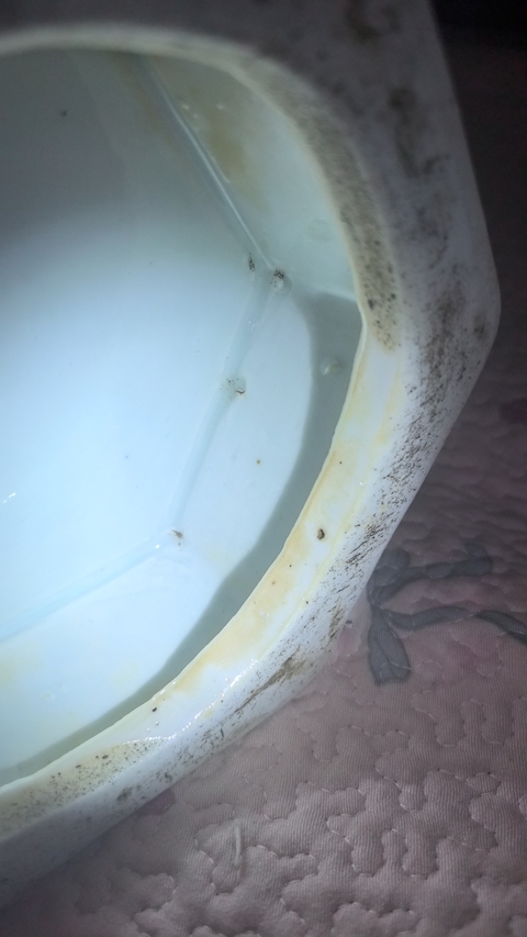 古玩陶瓷晚清青花無雙譜瓶拍賣，當前價格68000元
