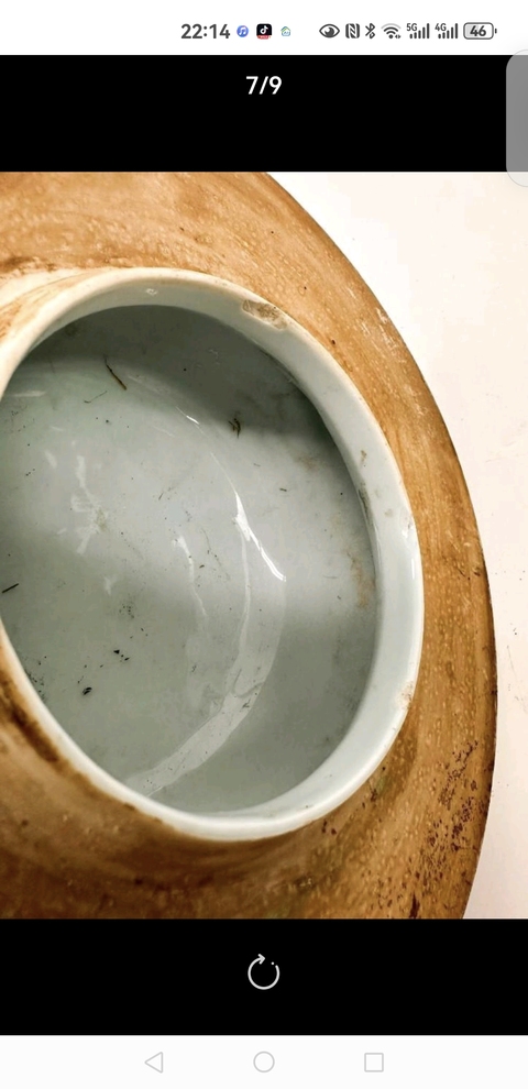 古玩陶瓷花鳥紋將軍罐真品鑒賞圖