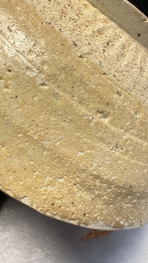 古玩陶瓷青白釉茶碗真品鑒賞圖