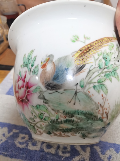 古玩陶瓷花鳥紋淺絳彩花盆真品鑒賞圖