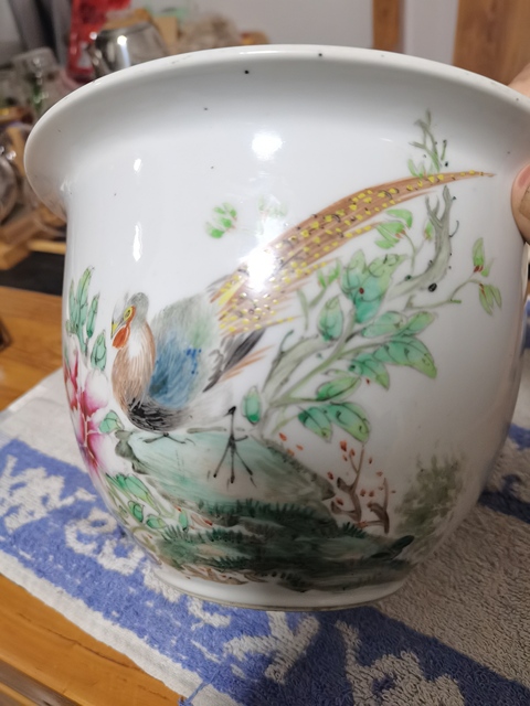 古玩陶瓷花鳥紋淺絳彩花盆真品鑒賞圖