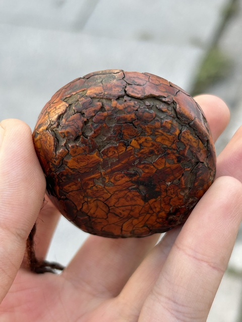 古玩雜項(xiàng)牌子真品鑒賞圖