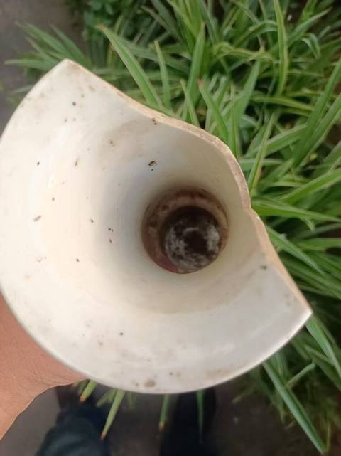 古玩陶瓷花鳥紋青花花觚真品鑒賞圖