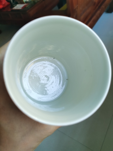 古玩陶瓷博古圖執杯真品鑒賞圖