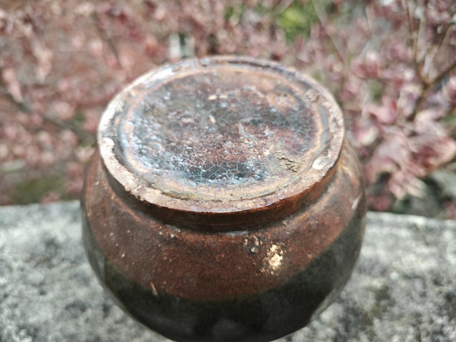 古玩陶瓷黑釉玉壺春瓶真品鑒賞圖