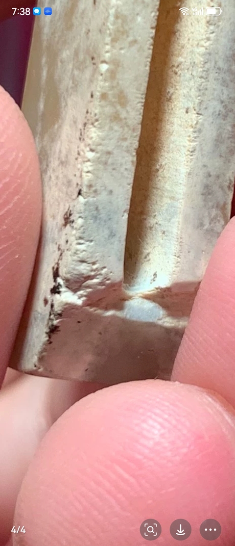 古玩玉器玉帶穿真品鑒賞圖