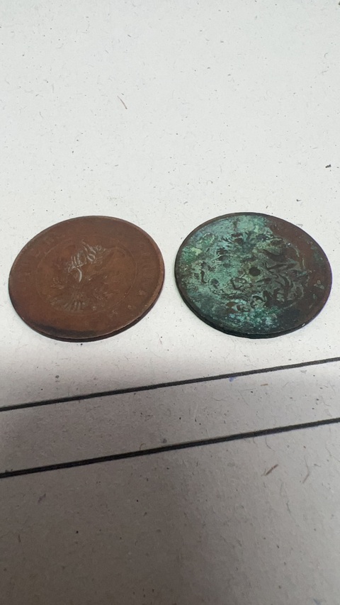 古玩錢幣銅元真品鑒賞圖