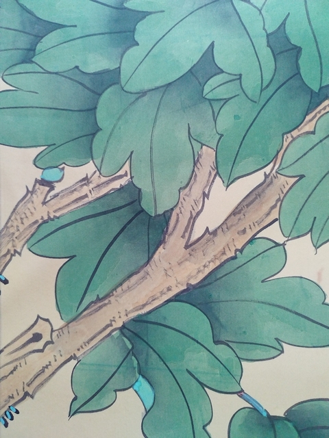 古玩字畫富貴花開真品鑒賞圖