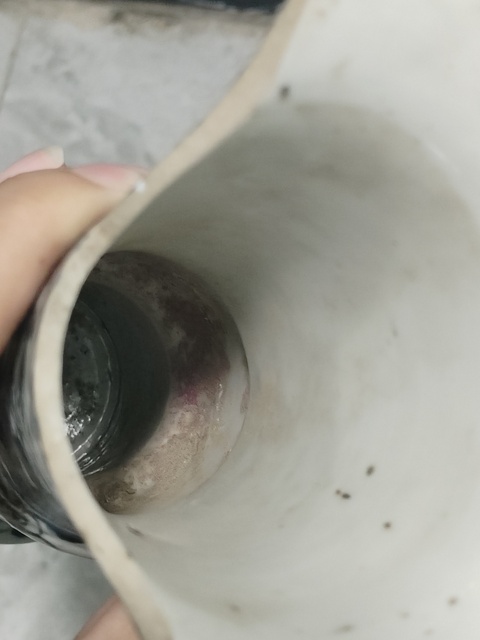 古玩陶瓷青花花鳥花觚真品鑒賞圖