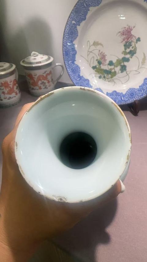 古玩陶瓷大雅齋風格花鳥紋象耳瓶，模糊，偏老真品鑒賞圖