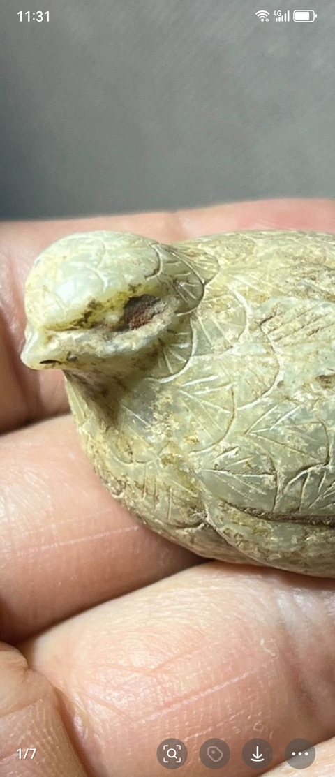 古玩玉器玉鵪鶉把件真品鑒賞圖