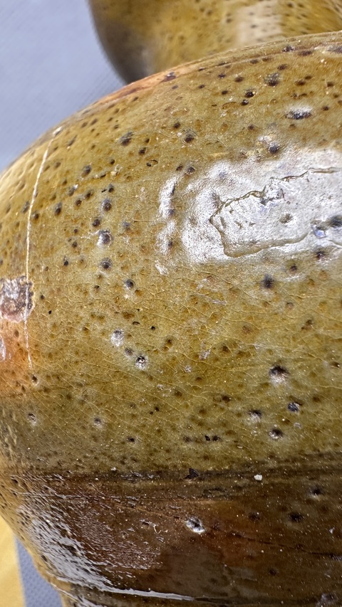 古玩陶瓷綠釉盤口壺真品鑒賞圖