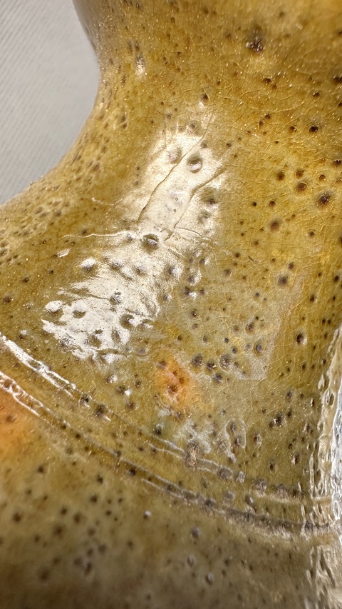 古玩陶瓷綠釉盤口壺真品鑒賞圖