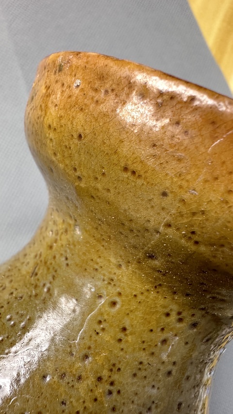 古玩陶瓷綠釉盤口壺真品鑒賞圖